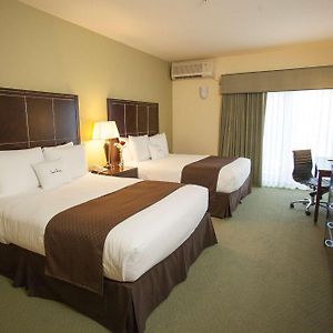 Chambre Accessible aux Personnes à Mobilité Réduite Lit Queen-Size